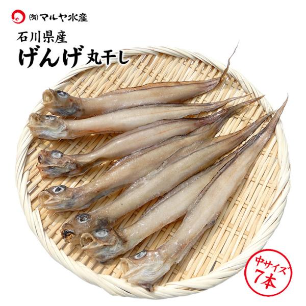 げんげ 干物 一夜干し 石川県産 水魚 幻魚 7匹 Buyee Buyee 日本の通販商品 オークションの代理入札 代理購入