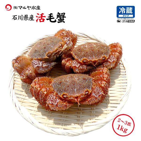 уKj ъI 󂠂 2`3C 1.0kg Zbg ΐ쌧Y I or 䥂ŊI Ⓚi  \o  Mtg ʔ  Yn 