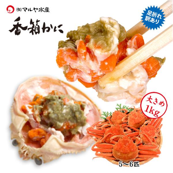 11/10ȍ~o Jj 󂠂  I YCKj ZRKj I  ܂ 傫 1kglߍ킹 (5`6C)  l䥂 Yn  