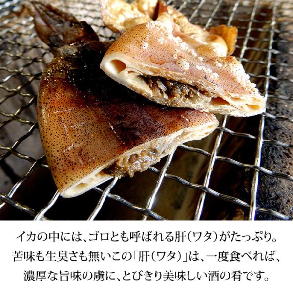 福井県産 熟成わた入り 丸干しイカ もみいか 約1 0kg 24 32枚 Buyee 日本代购平台 产品购物网站大全 Buyee一站式代购 Bot Online