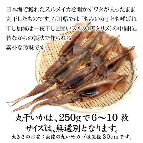 福井県産 熟成わた入り 丸干しイカ もみいか 約250g 6 8枚 Dejapan Bid And Buy Japan With 0 Commission