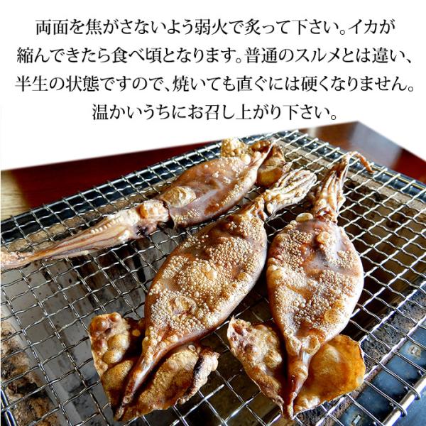丸干いか もみいか するめいかの丸干し 熟成わた入り 福井県産 約250g 6 8枚 Buyee Buyee Japanese Proxy Service Buy From Japan Bot Online