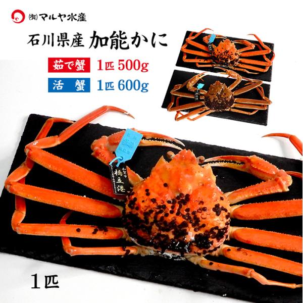 こちらの商品は、中サイズのずわい蟹（茹で又は活かに）1匹で1〜2人前程の標準的な大きさのカニです。この大きさになりますと、身も味噌もしっかりとしておりますので、ご自宅用はもちろん贈り物にも大変喜ばれます。商品名：ずわいがに（加能かに）商品内...