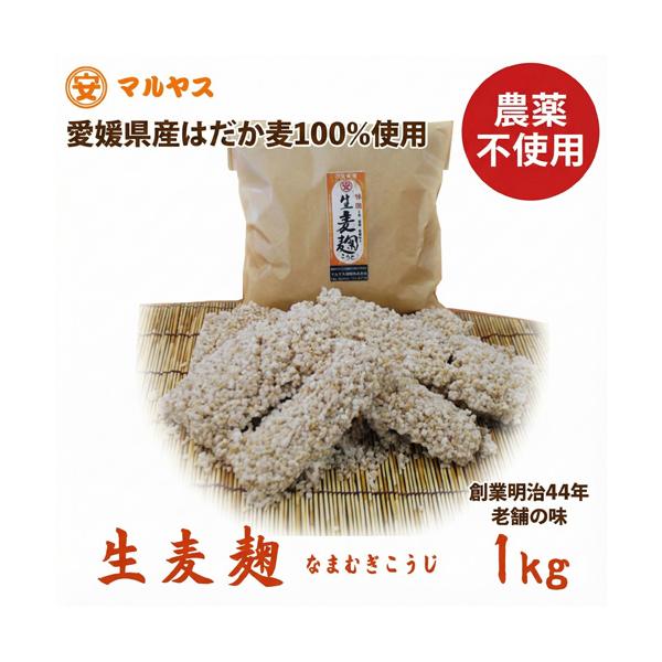 愛媛県産「はだか麦」を100%使用した、希少な【農薬不使用】の生麦麹（1kg）です。創業明治44年の老舗「マルヤス味噌」が、完全無添加・手作りで仕上げました。一般的な大麦に比べて香ばしさと甘みが強い「はだか麦」は、麦味噌作りや、醤油麹（ひし...