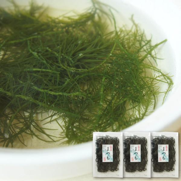 海藻 まつも 10g×3個 天然海草 函館産 松藻 シャッキッとした歯触りで美味しい