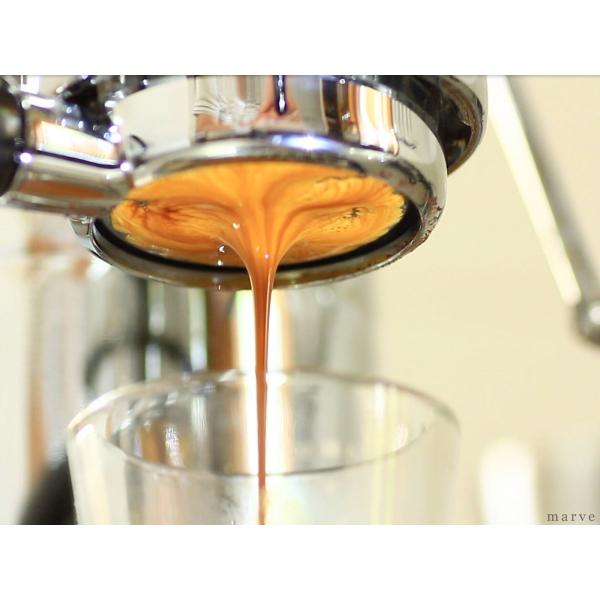 特価 新品 La Pavoni パヴォーニ　専用ボトムレスフィルター　51mm La Pavoni 専用ボトムレスフィルターホルダー Φ51用（2000年以降
