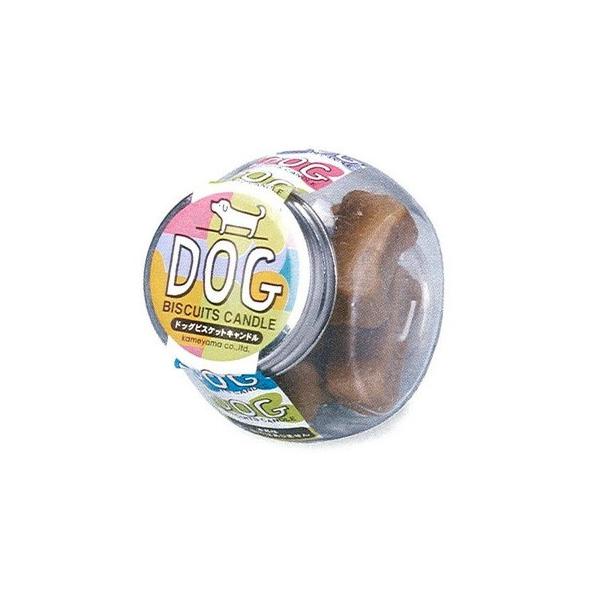 J} hbOrXPbgLh@ybgւ̂