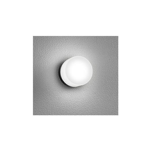 I[fbN oX[Cg yOG264002WRzyOG 264 002WRz Cg ƖyρE㕥ϕsz F LEDƖ