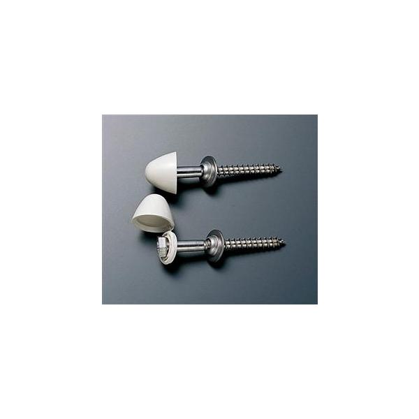 TOTO yT53DNz ֊t؂˂iσLbvtjyiz