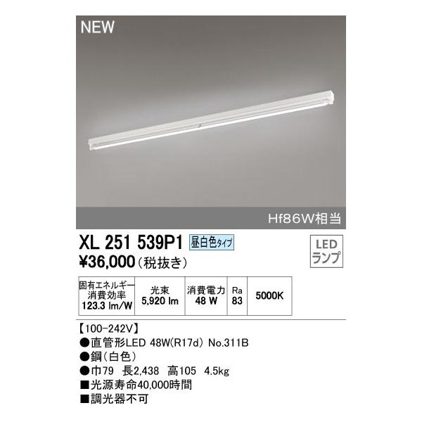 オーデリック 店舗施設用 ベースライト 【XL 251 539P1】XL251539P1【メーカー取り寄せ】【代引決済・後払い決済不可】