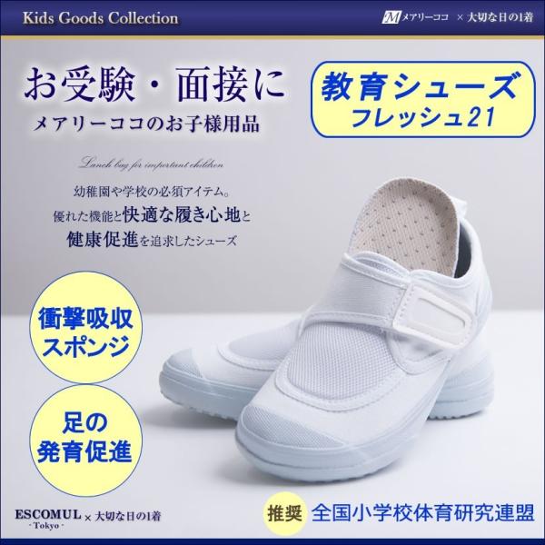 㗚 q V[Y ۈ牀 ct wZ  ʐ sώ@ c KS-01