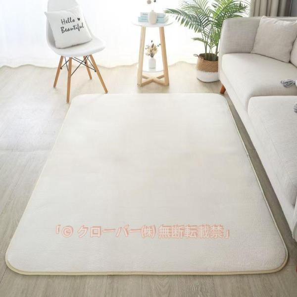低反発ラグ 50×200〜200×250cm 3畳 床暖房対応 洗える オールシーズン 快適 春夏秋冬 いつでも清潔 リラックス空間の格調を高める