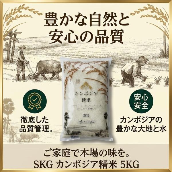 精米 5kg ライス カンボジア産 白米 お米 厳選米 プレミアム 香り豊か 甘みのある味 長粒種 ご飯  三幸株式会社監修