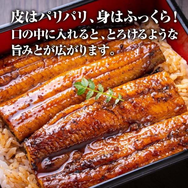 masakiglobal-store_my-001_4_d_20260506113235