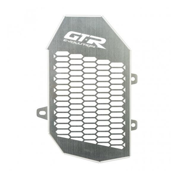 z_ ADV150 GTR WG[^K[h XeX  4209154523100