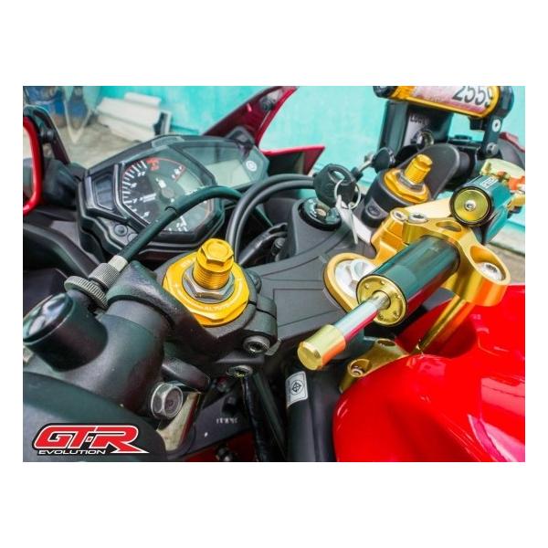 }n YZF-R25 GTR tgtH[Ngbv{g 4F 4216150365