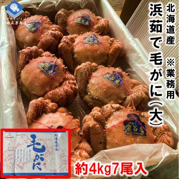 【お得な業務用規格】毛がに 毛ガニ 北海道オホーツク海産 浜茹で毛ガニ ４kｇに７尾入 大サイズ 最上級品 業務用 送料無料 2024年物