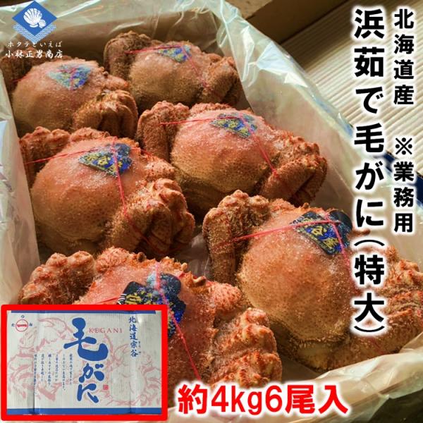 【お得な業務用規格】毛がに 毛ガニ 北海道オホーツク海産 浜茹で毛ガニ ４kｇに６尾入 特大サイズ 最上級品 業務用 送料無料