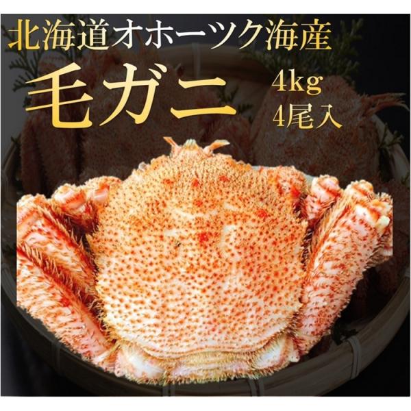 т уKj kCIz[cNCY l䥂ŖуKj SkɂS TCY ŏ㋉i Ɩp 