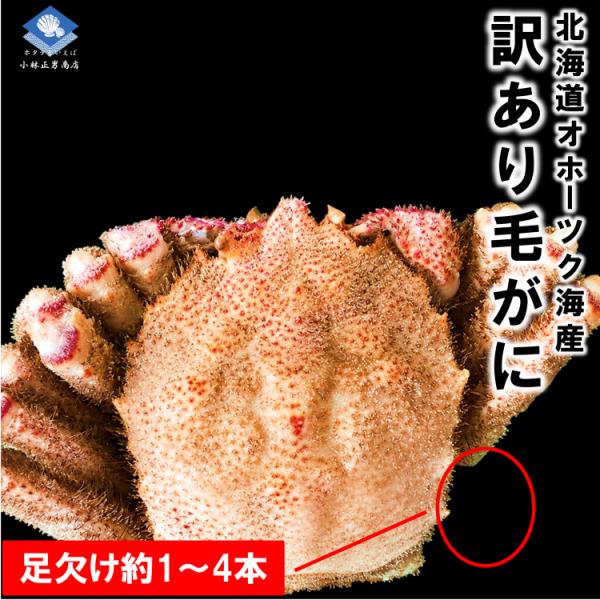 【訳あり】 北海道産 浜茹で毛がに 3尾入（440ｇ/中小サイズ）足欠けあり1〜4本程度｜味よし｜濃厚カニ味噌｜送料無料