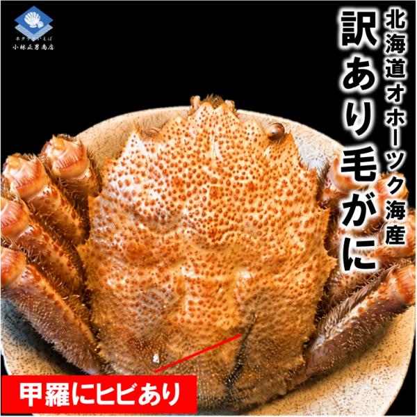 【訳あり】 北海道産 浜茹で毛がに 2尾入（570ｇ/大サイズ）甲羅にヒビあり｜味よし｜濃厚カニ味噌｜送料無料