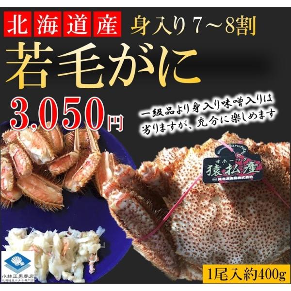 【若蟹】 毛がに 毛ガニ 北海道産 浜茹で毛がに 1尾約400g 若蟹 身入り7-8割 まずはお試し 条件付き送料無料