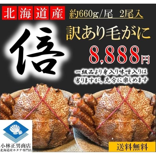 毛がに 毛ガニ 北海道産 浜茹で毛がに 1尾約660g 2尾入 若蟹 身入り7-8割 まずはお試し 送料無料