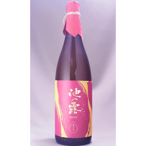 池の露 SLOWLY 紅はるか 30度 1800ml : サイバーマサルヤ - 通販