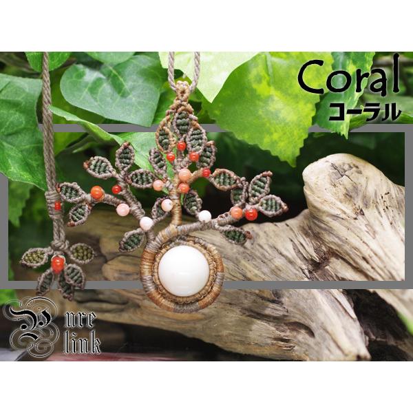 󏭁Ɋyy鎵Ew{XER[x̎}N҃gbvlbNX