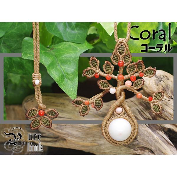 󏭁Ɋyy鎵Ew{XER[x̎}N҃gbvlbNX2