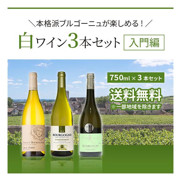 ブルゴーニュ　白ワイン　3本セット 本格派ブルゴーニュが楽しめる 白ワイン3本セット入門編 送料無料 : 酒