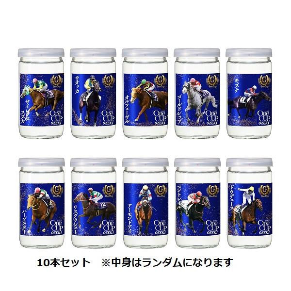 第一回チャンピオンズカップ記念品 大会賞品を公開！ ｜ 「ポケモンジャパンチャンピオンシップス2026