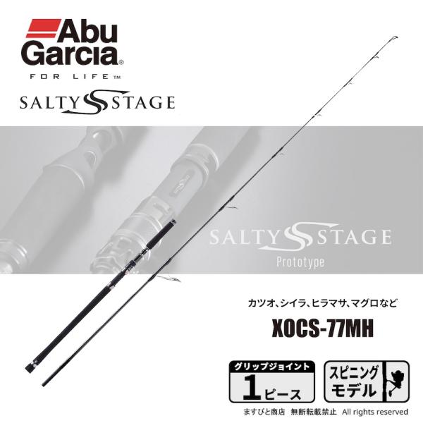 Abu Garcia（アブガルシア） ソルティーステージ プロトタイプ