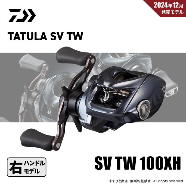 DAIWA（ダイワ） 25 タトゥーラ SV TW 100XH 送料無料 : ますびと商店