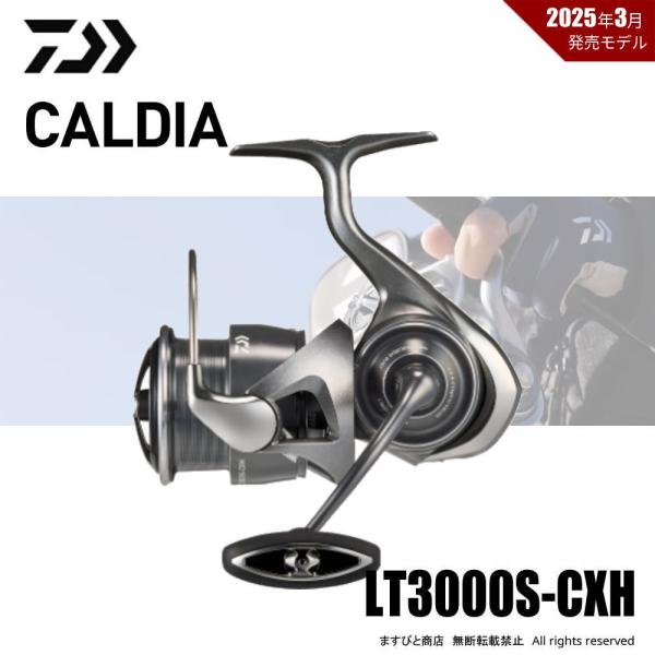 DAIWA（釣り） 【半期決算】限定セール 40％OFF ダイワ 25