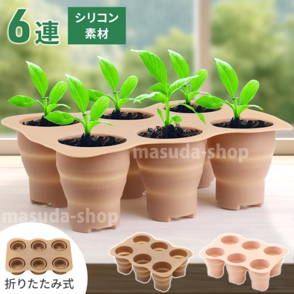 masuda-shop_ms142931