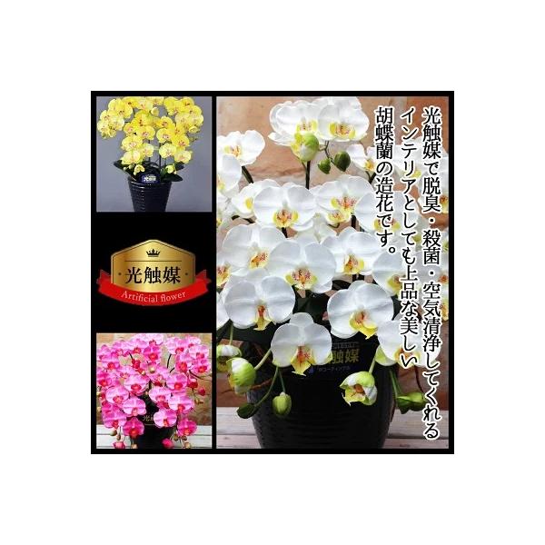 光触媒 アートフラワー 胡蝶蘭 白 ホワイト Ｓ 5本立 空気洗浄効果 造花