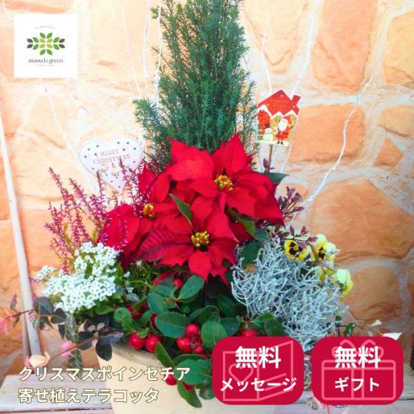 クリスマス ポインセチア 寄せ植え テラコッタ おしゃれ  生花 フラワーギフト 高級感 かわいい 赤系 玄関
