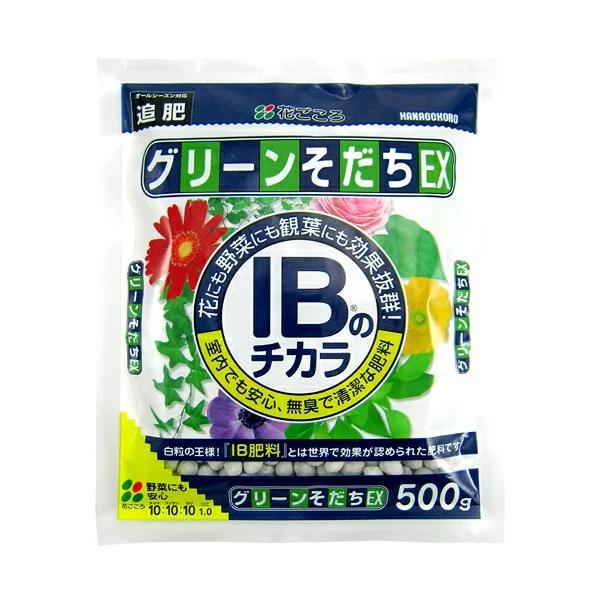 基本の肥料 IBのチカラグリーンそだちEX（ 500g ）おすすめ 花 バラ 野菜 観葉植物 有機 苗 鉢植え 庭 ガーデニング 園芸 初心者向け 花ごころ