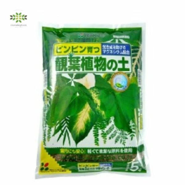 観葉植物の土 5L 花ごころ 室内用 虫がわかない そのまま使える お手入れ簡単 ガーデニング 園芸 インテリア