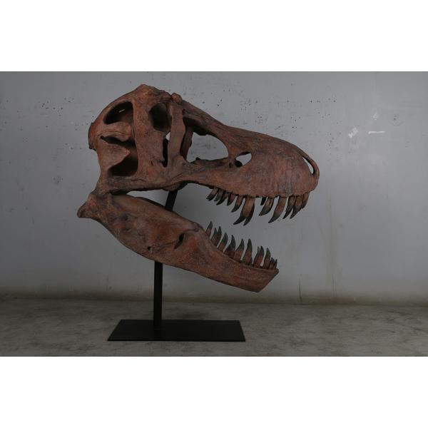 FRPアートオブジェ ティレックス頭骨 T-rex 恐竜 爬虫類 動物 目立つ