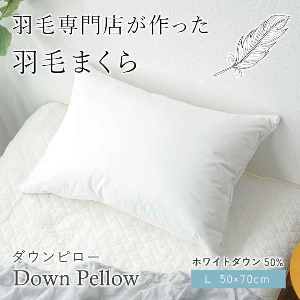  H _Es[ { v[X[p[ L 50×70cm zCg_E50 zes[ ze downp-m