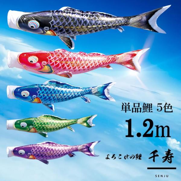 単品鯉 千寿 単品鯉のぼり 取付け金具セット 鯉のぼり  徳永鯉 こいのぼり単品 撥水加工 1.2m 選べる ５色 増村人形店 MMN2559単品鯉 千寿 単品鯉のぼり 取付け金具セット 鯉のぼり  徳永鯉 こいのぼり単品 撥水加工 1.2...