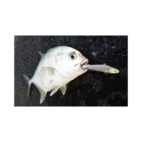 ぶるぶる50 Never Late Japan ライトソルトゲーム用バイブレーションルアー Buyee Buyee Japanese Proxy Service Buy From Japan Bot Online