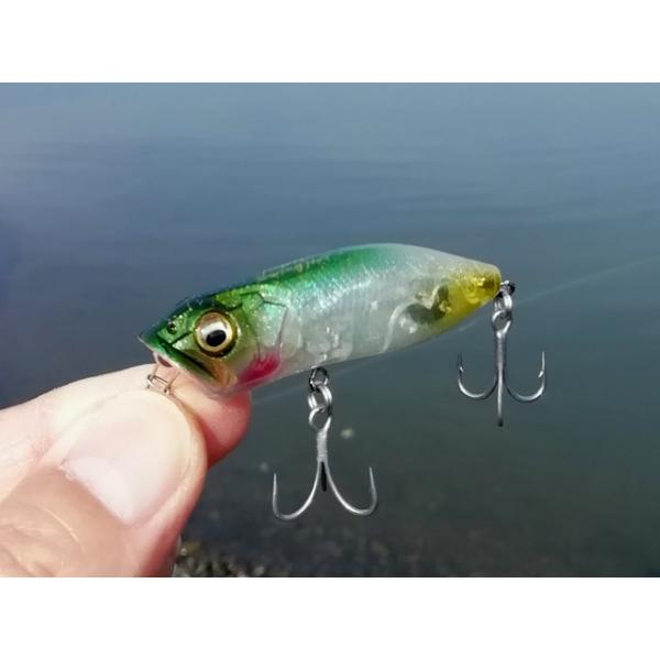 Megabass メガバス SWING HOT 水砲 スイホウ クロダイポッパー Megabass メガバス SWING HOT 水砲 スイホウ クロダイポッパー