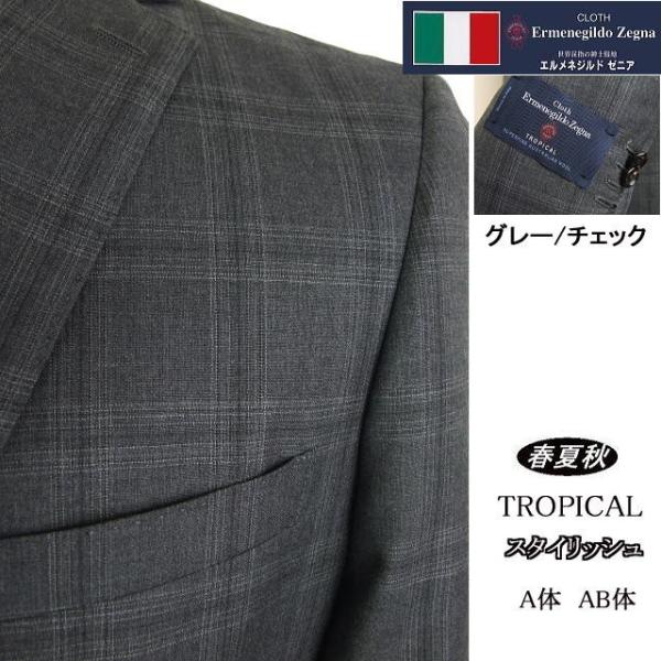 ZEGNA（ゼニア） 【A体】【AB体】【春夏秋】【Ermenegildo Zegna