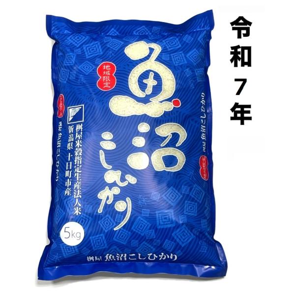 コシヒカリ 令和7年 地域限定 新潟県十日町市産 魚沼こしひかり 5kg