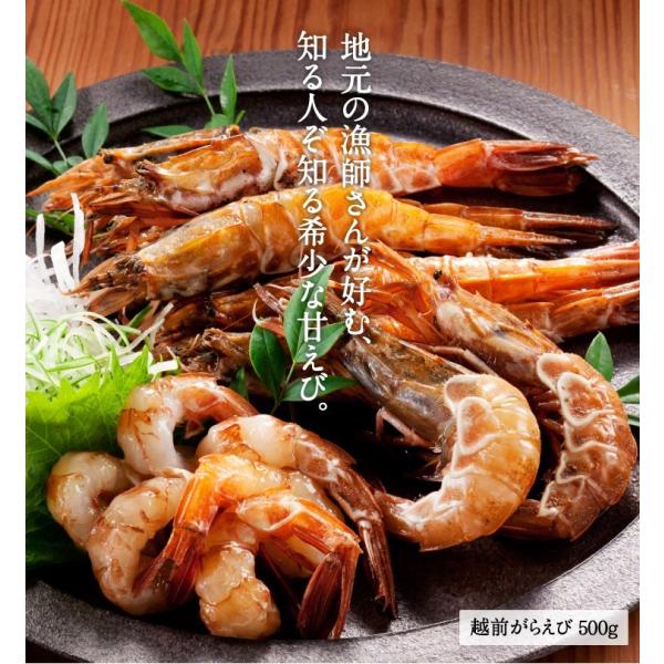 年内在庫切れ エビ えび 希少 ガラエビ モサエビ 越前エビ 500g 約30匹前後 越前産 生 急速冷凍 刺し身 冷凍便 送料無料 Buyee Buyee 提供一站式最全面最專業現地yahoo Japan拍賣代bid代拍代購服務 Bot Online
