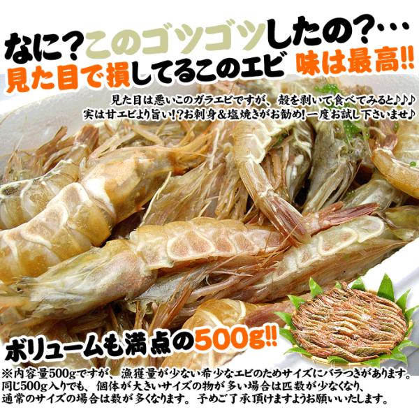 年内在庫切れ エビ えび 希少 ガラエビ モサエビ 越前エビ 500g 約30匹前後 越前産 生 急速冷凍 刺し身 冷凍便 送料無料 Buyee Buyee 提供一站式最全面最專業現地yahoo Japan拍賣代bid代拍代購服務 Bot Online
