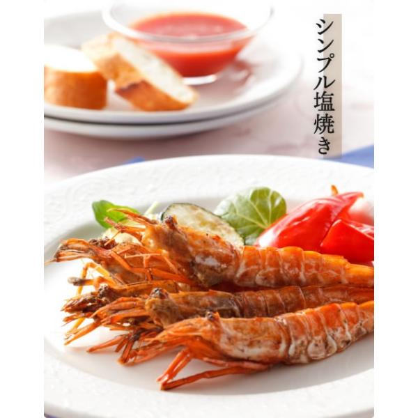 年内在庫切れ エビ えび 希少 ガラエビ モサエビ 越前エビ 500g 約30匹前後 越前産 生 急速冷凍 刺し身 冷凍便 送料無料 Buyee Buyee 提供一站式最全面最專業現地yahoo Japan拍賣代bid代拍代購服務 Bot Online